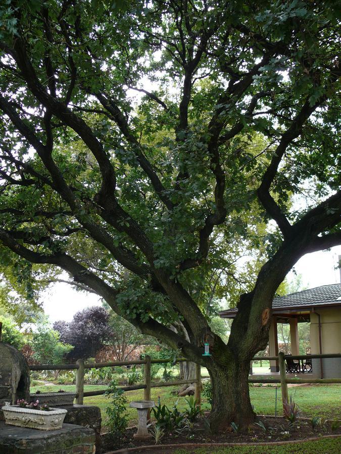 42Onking Bed & Breakfast Centurion Eksteriør bilde